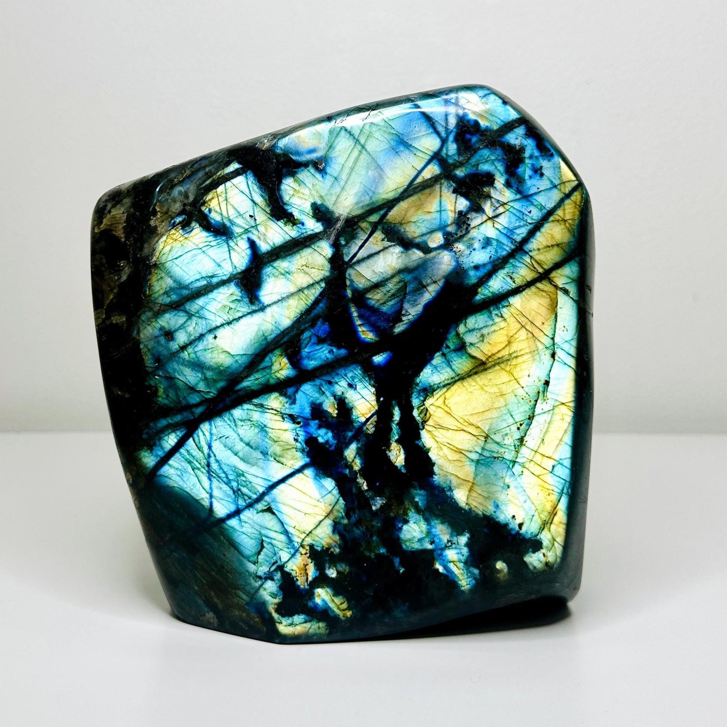 XL Labradorite Freeform Specimen with Mixed Blue, Green, and Gold Flashes - 13.4 lbs (6.1 KG) - Intuition Enhancing Crystal