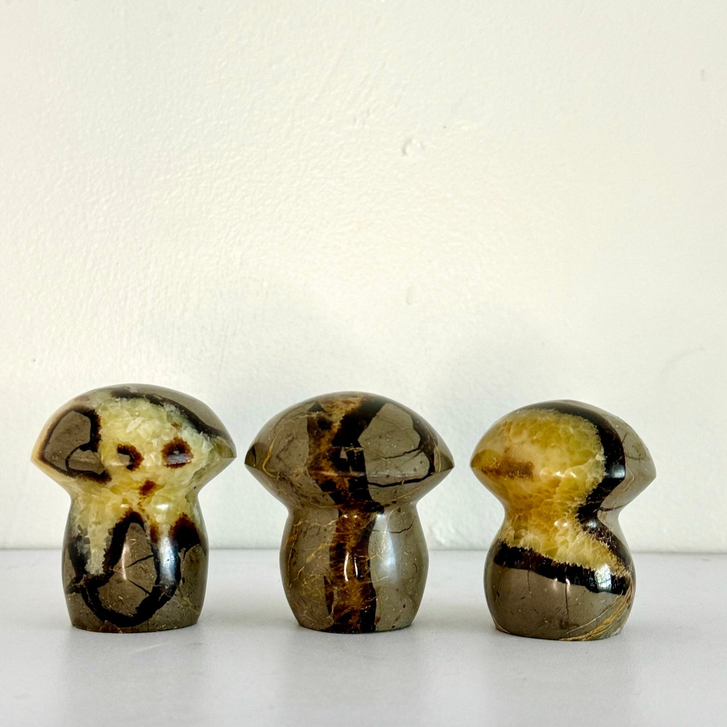 Unique Septarian Mushroom - Natural Healing and Grounding Stone - KREATEUR MIAMI