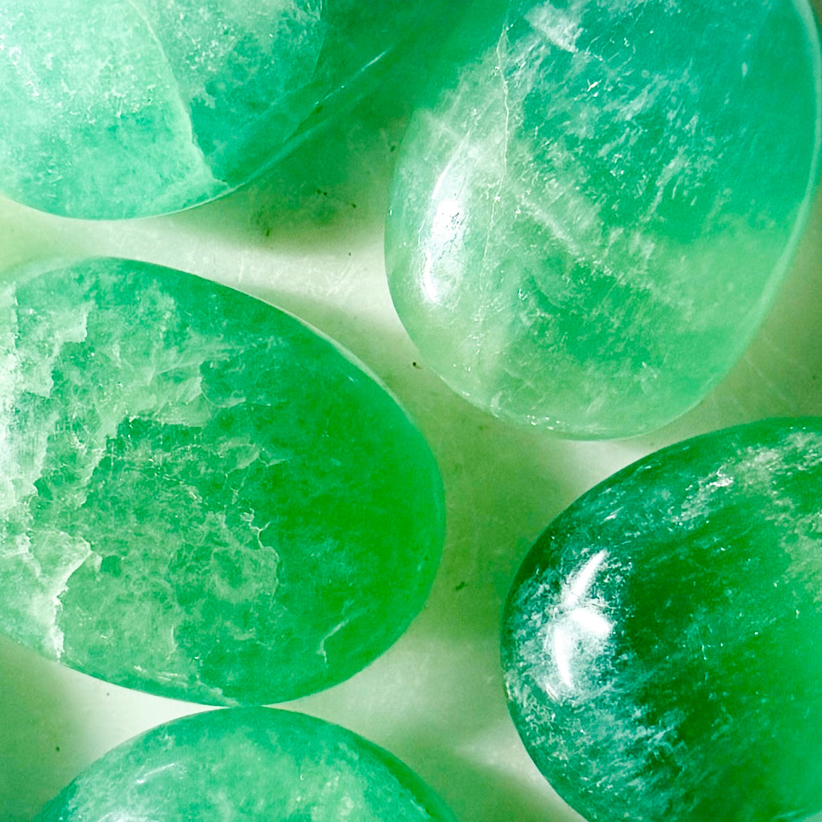 Lot en vrac de 5 lb de pierres de palmier en fluorite – Cristaux polis sélectionnés à la main