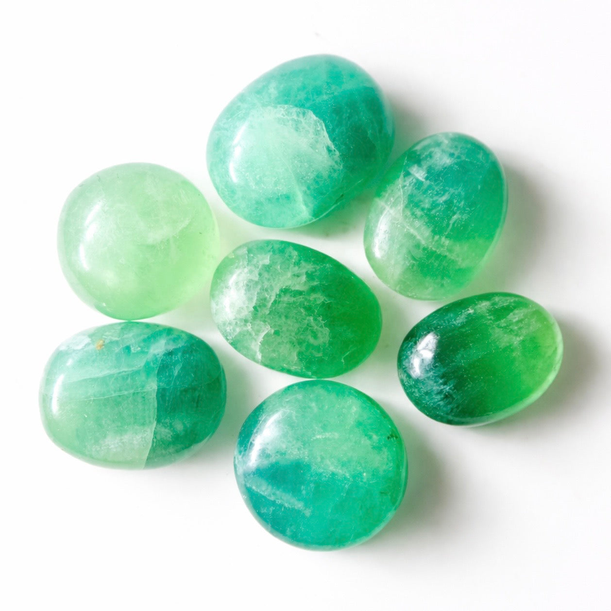 Lot en vrac de 5 lb de pierres de palmier en fluorite – Cristaux polis sélectionnés à la main