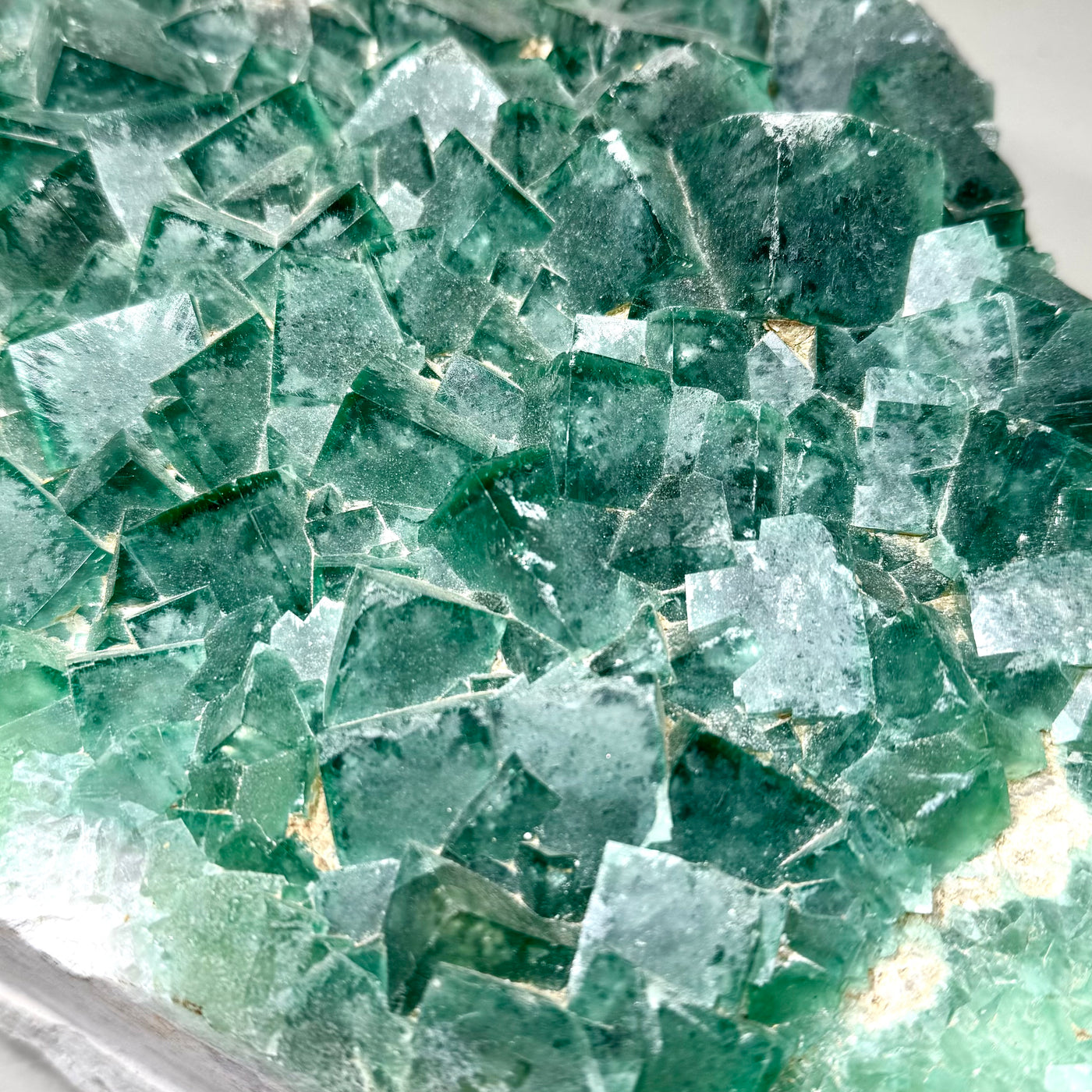 Close view of frosted green fluorite cubes on matrix