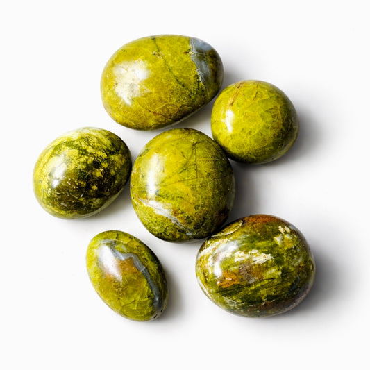 5 lb Green Opal Palm Stone Bulk Lot – Handpicked Polished Stones