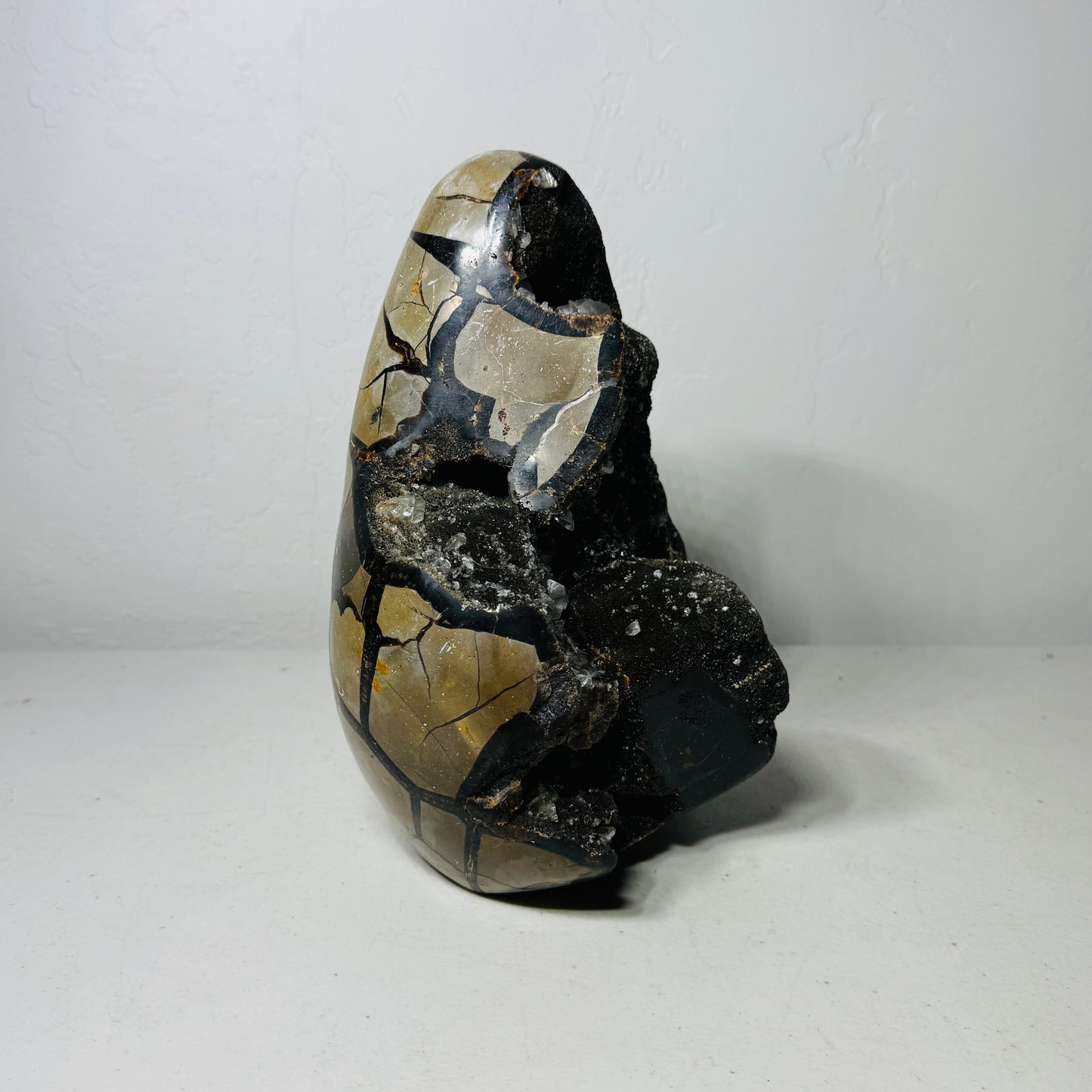 Large Black Septarian Dragon Stone Freeform with Crystal Accents – 11.3 lb Statement Specimen