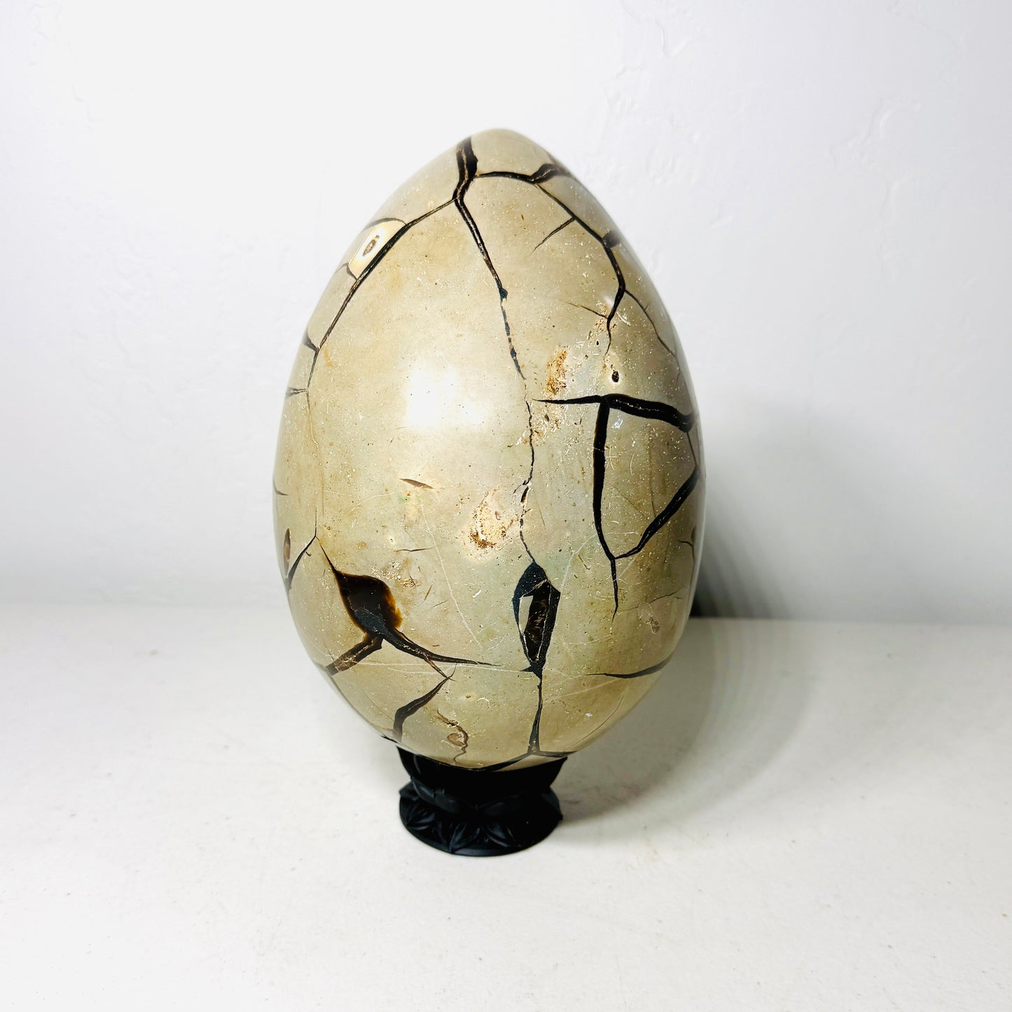 Large Black Septarian Dragon Egg with Dark Druzy Cavity – 10.2 lb Display Specimen with Dark Lotus Stand (Gift)