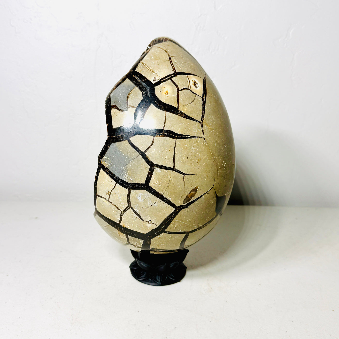 Grand œuf de dragon septarien noir avec cavité drusique foncée – Spécimen d'exposition de 4,6 kg avec socle Lotus foncé (Cadeau)