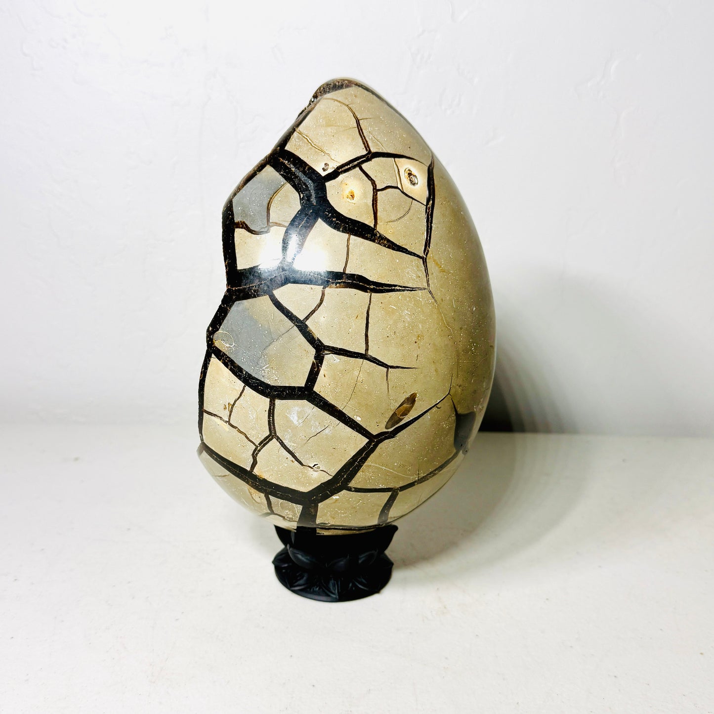 Large Black Septarian Dragon Egg with Dark Druzy Cavity – 10.2 lb Display Specimen with Dark Lotus Stand (Gift)
