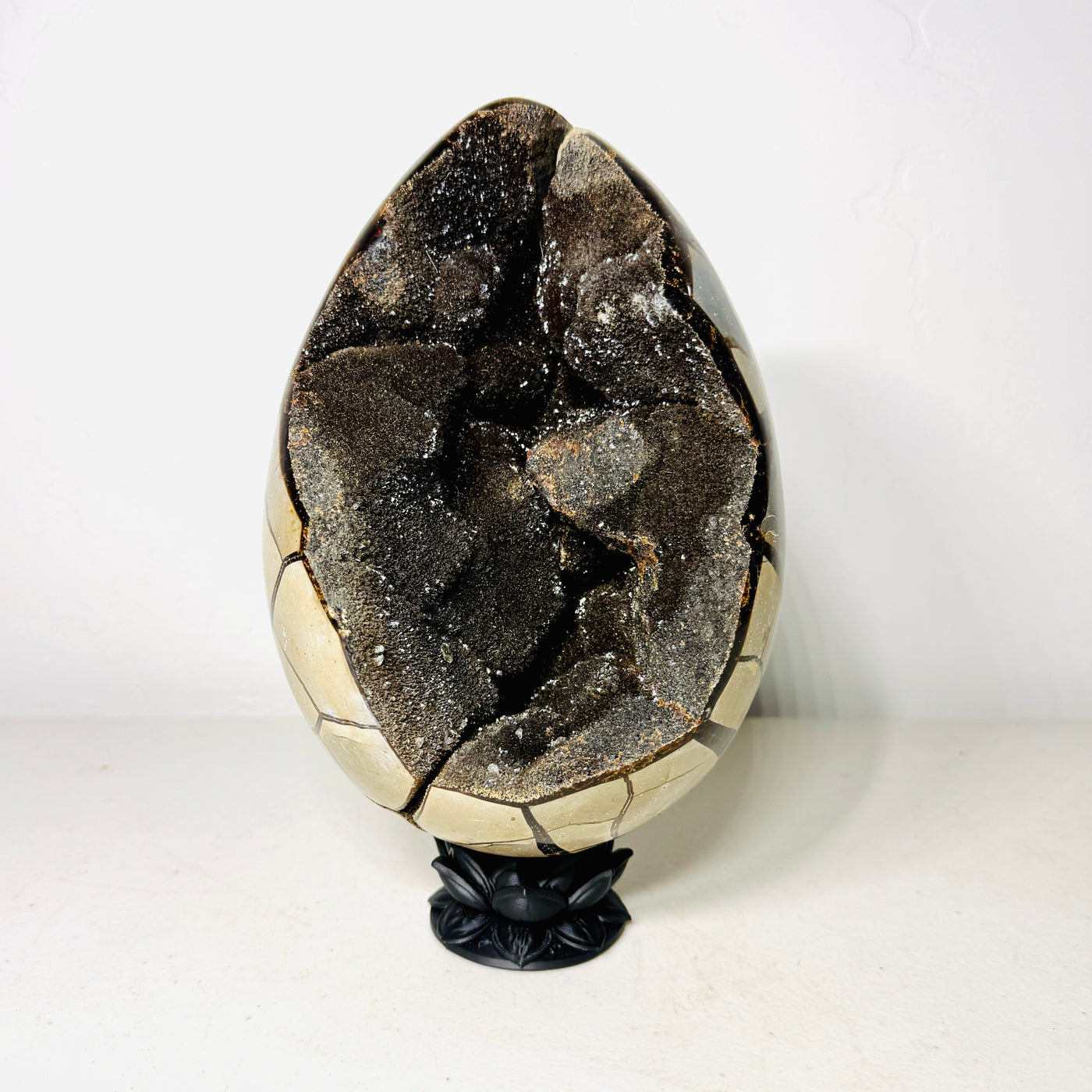 Grand œuf de dragon septarien noir avec cavité drusique foncée – Spécimen d'exposition de 4,6 kg avec socle Lotus foncé (Cadeau)