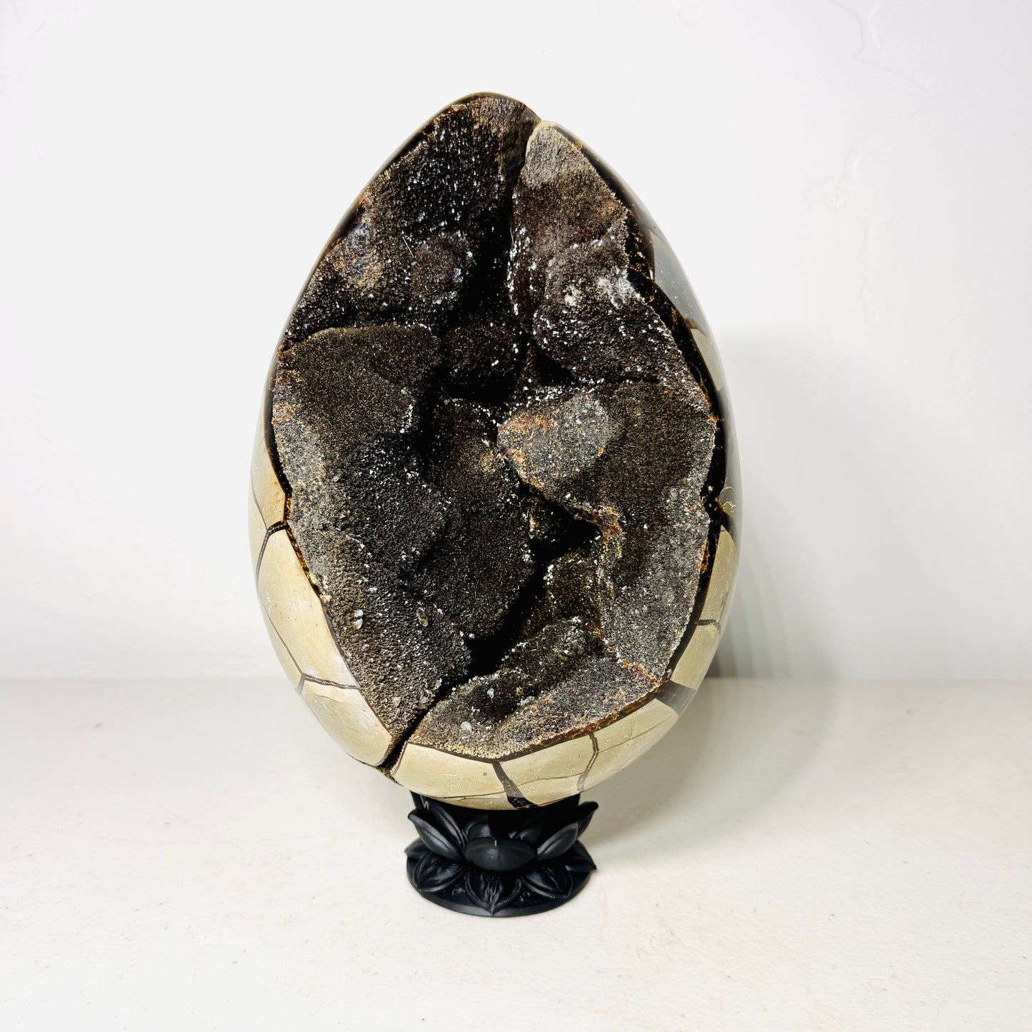 Large Black Septarian Dragon Egg with Dark Druzy Cavity – 10.2 lb Display Specimen with Dark Lotus Stand (Gift)