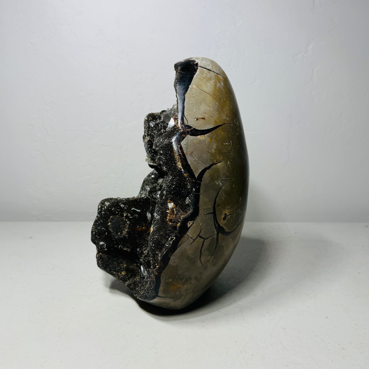 Large Black Septarian Dragon Stone Freeform with Crystal Accents – 11.3 lb Statement Specimen