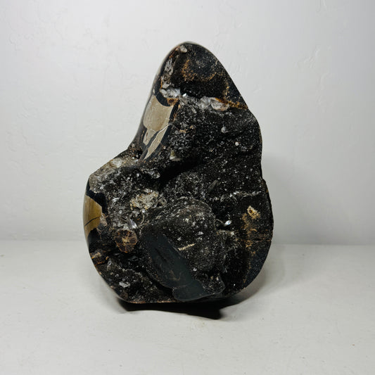 Large Black Septarian Dragon Stone Freeform with Crystal Accents – 11.3 lb Statement Specimen