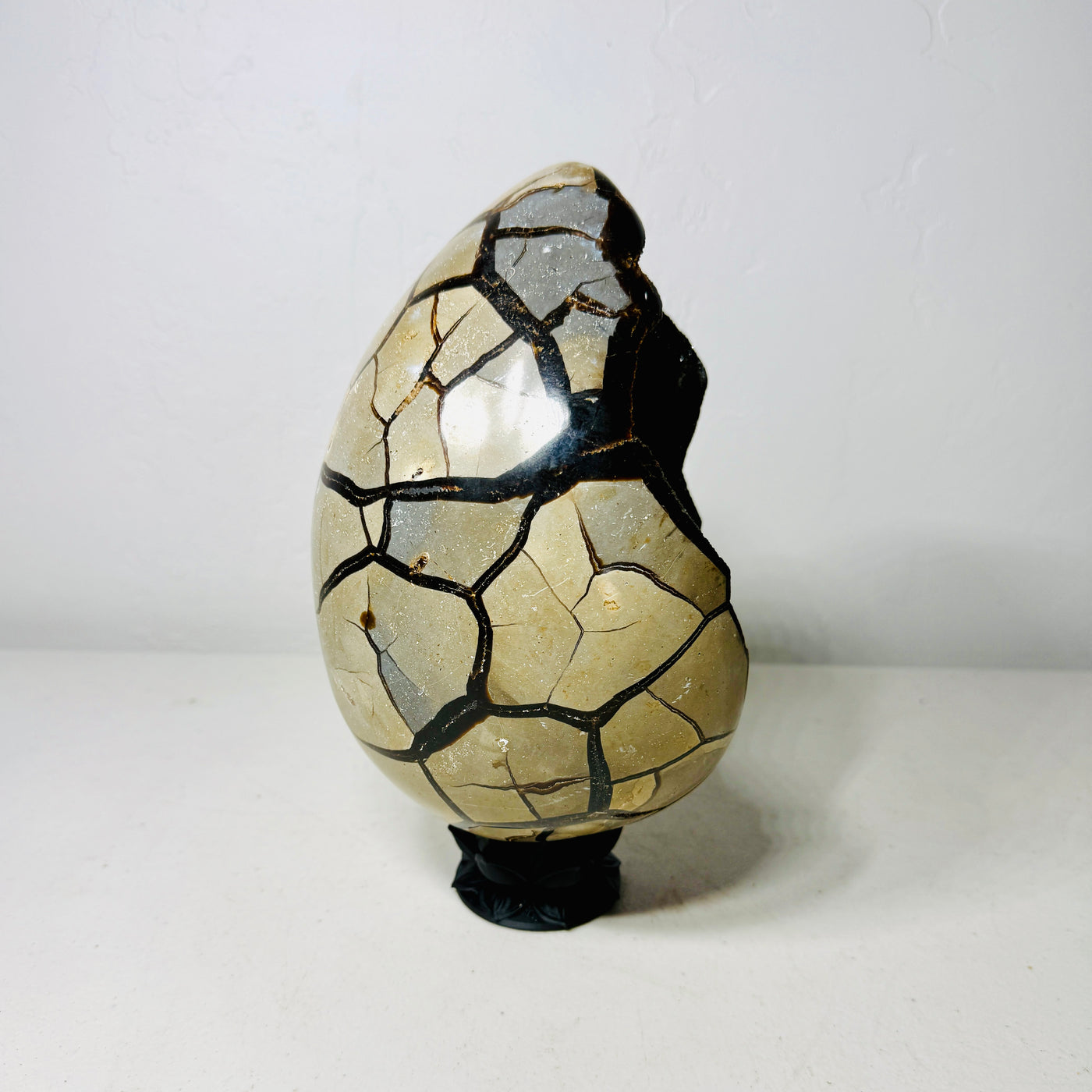Grand œuf de dragon septarien noir avec cavité drusique foncée – Spécimen d'exposition de 4,6 kg avec socle Lotus foncé (Cadeau)
