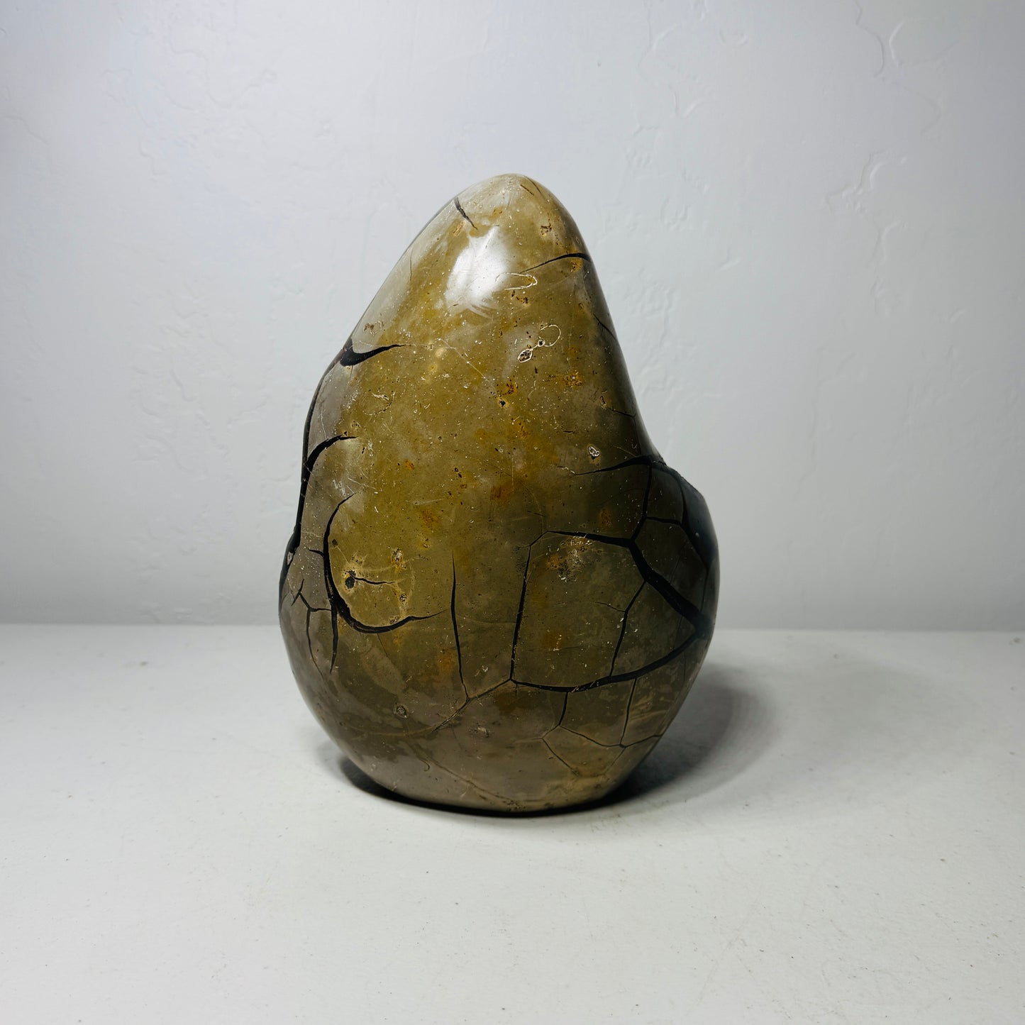 Large Black Septarian Dragon Stone Freeform with Crystal Accents – 11.3 lb Statement Specimen