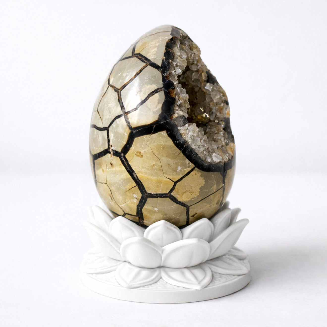 White Lotus Crystal Egg Stand – Choose Your Egg