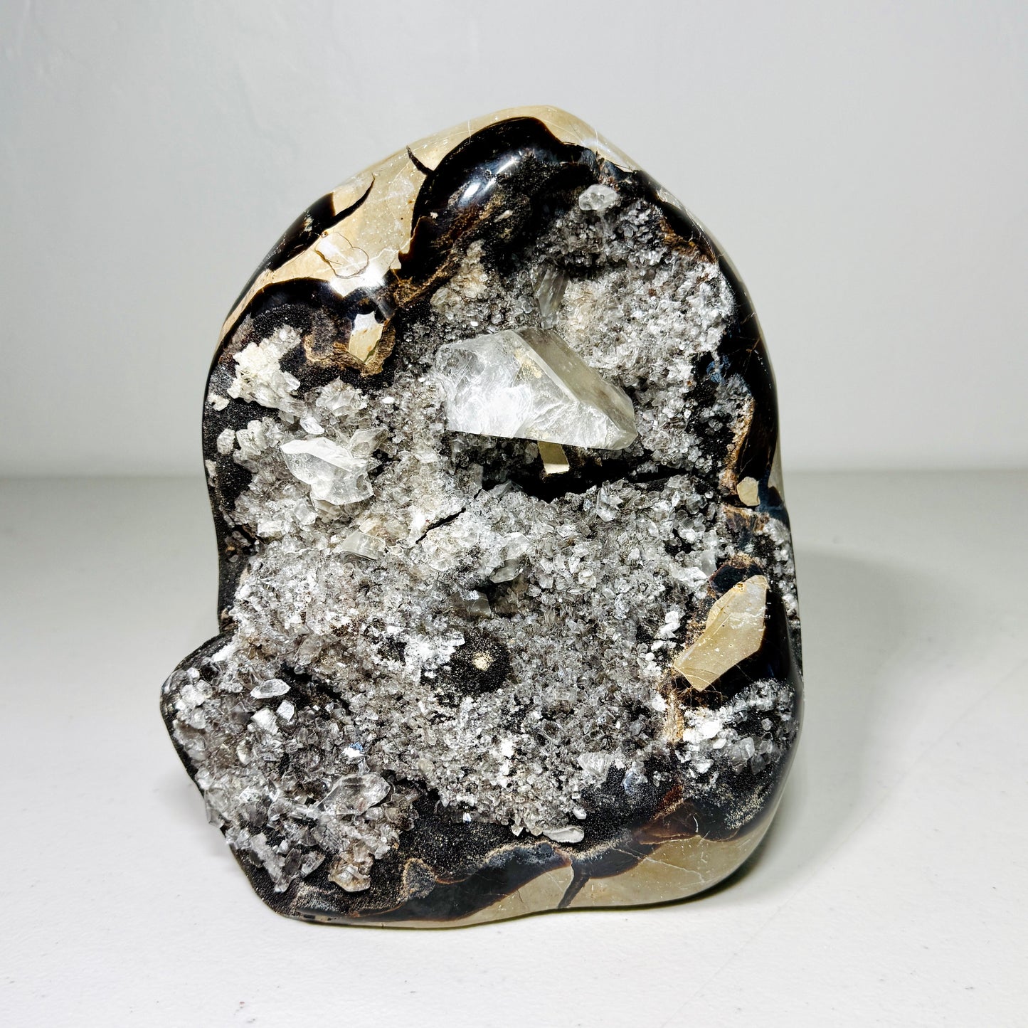 Large Septarian Dragon Stone: Quartz Druzy Freeform (4.7 lbs)