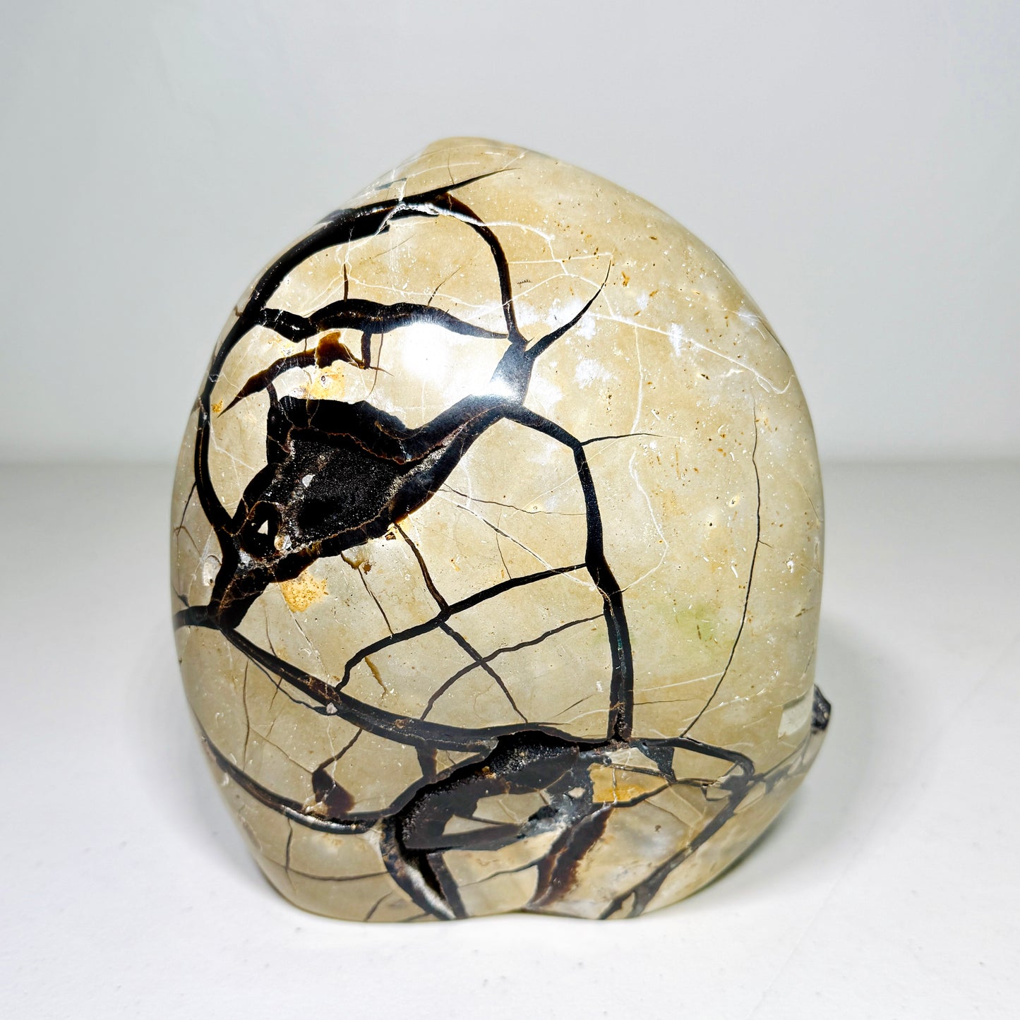 Large Septarian Dragon Stone: Quartz Druzy Freeform (4.7 lbs)