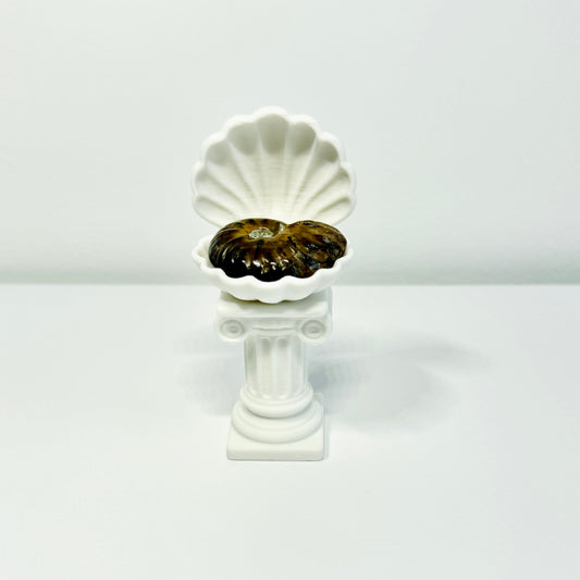 Roman Column Clam Shell Crystal Holder – White Stone Pedestal Display by KREATEUR Studio (Beta)