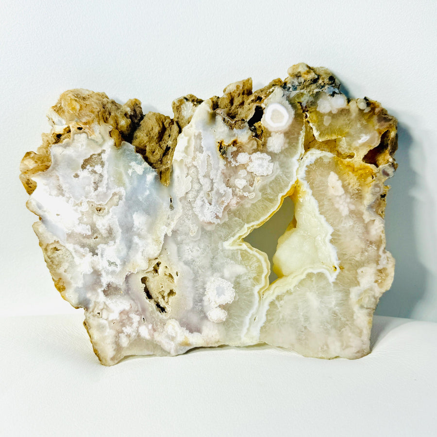 Natural agate slab with a partly polished cream-white face, cavities, and raw edges
