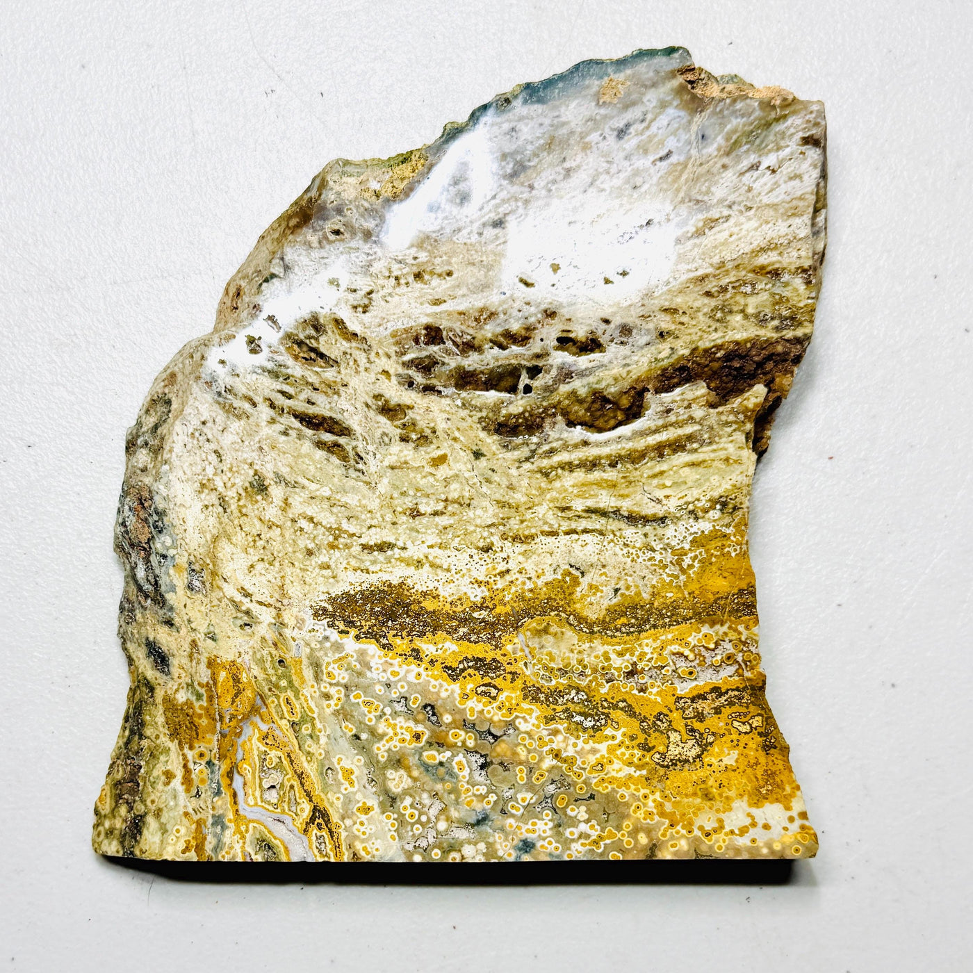 One-of-a-kind Ocean Jasper specimen slab, view 1