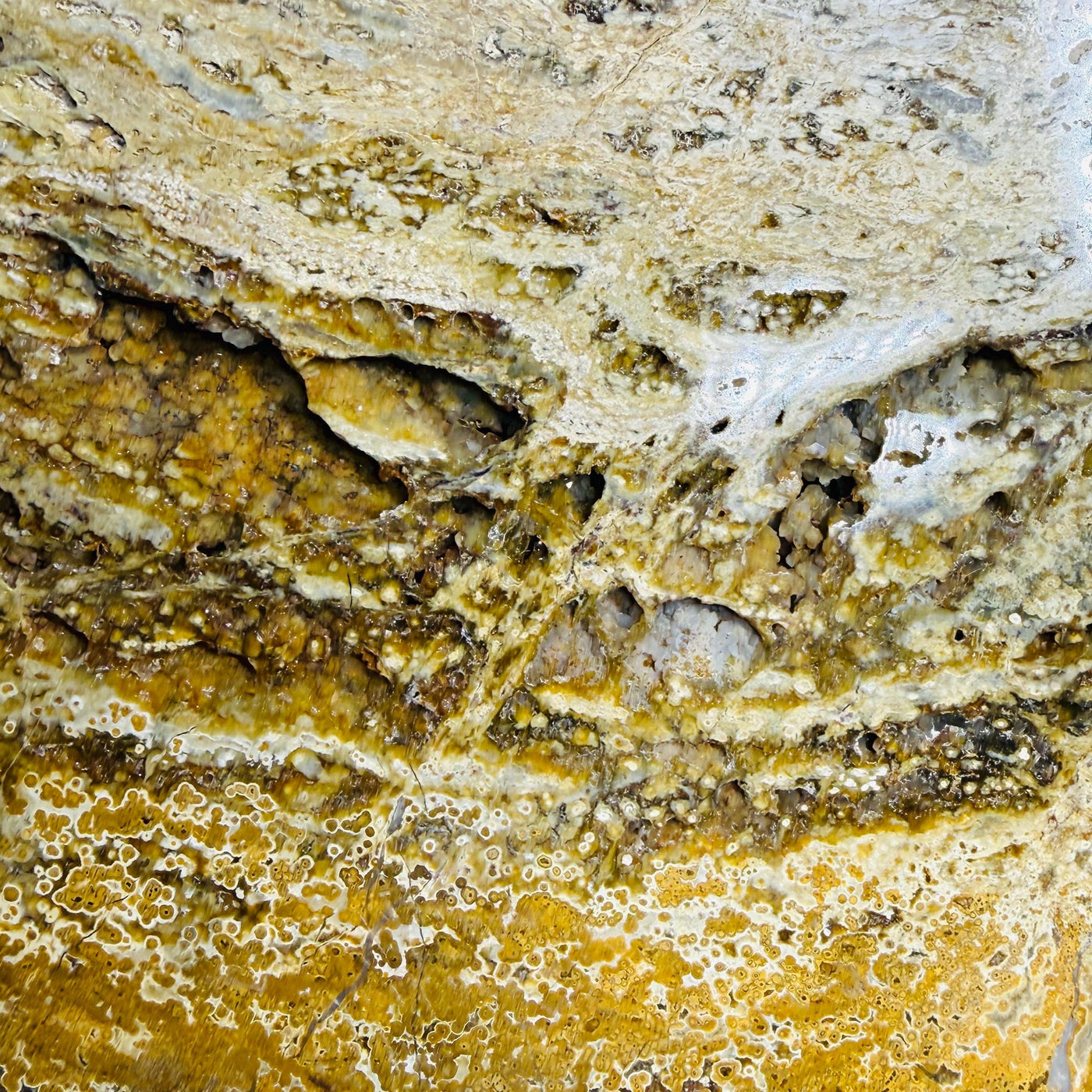 One-of-a-kind Ocean Jasper specimen slab, view 3