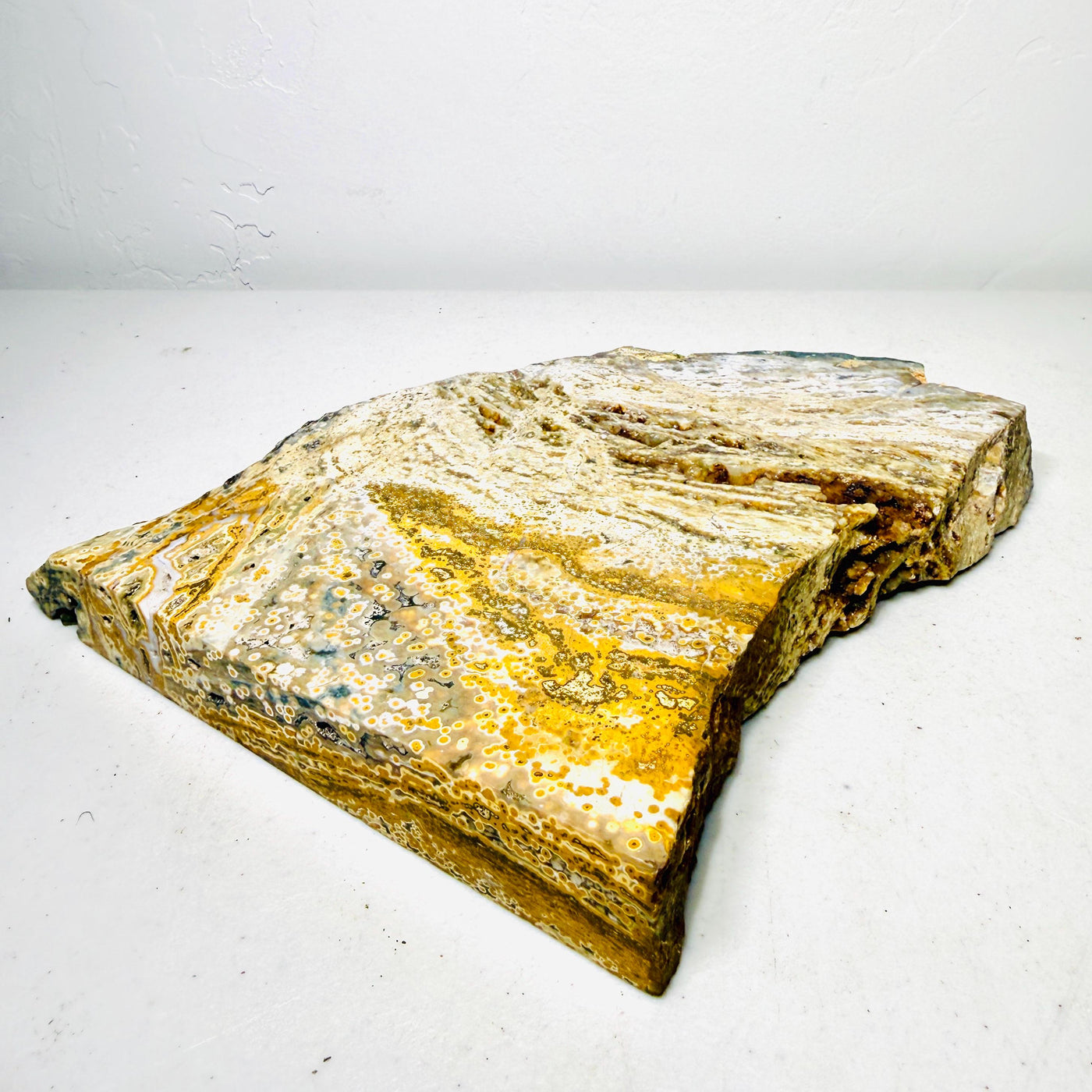 One-of-a-kind Ocean Jasper specimen slab, view 5