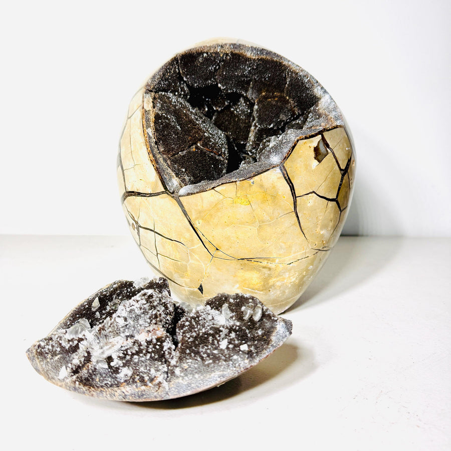 Septarian dragon stone with dark cavity and removable crystal-covered lid displayed in front