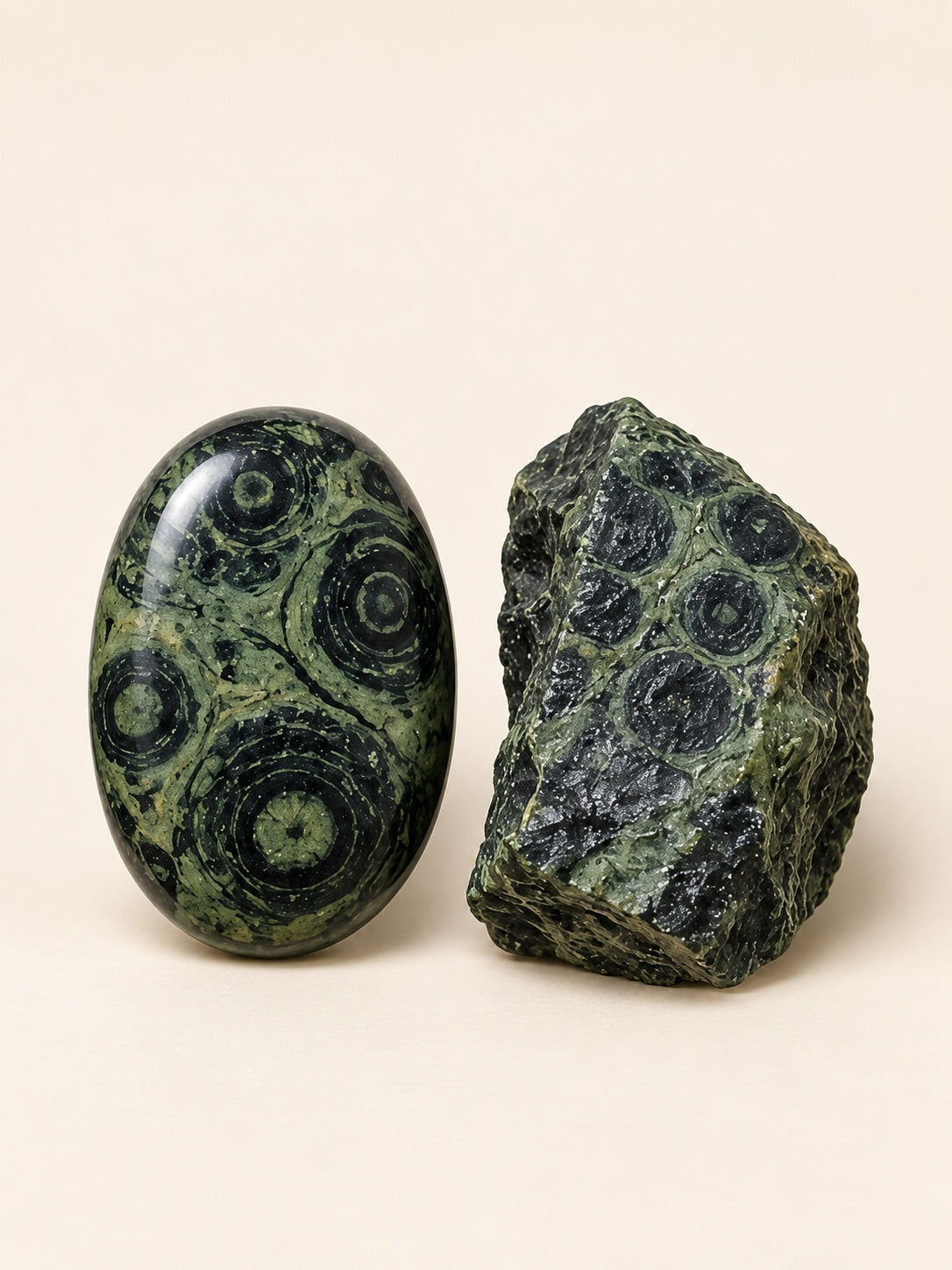 Kambaba Jasper shown as a polished palm-stone or cabochon form beside a rough form in a generated educational comparison illustration