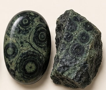 Kambaba Jasper shown as a polished palm-stone or cabochon form beside a rough form in a generated educational comparison illustration