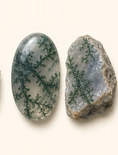 Moss Agate shown as a polished palm-stone or cabochon form beside a rough form in a generated educational comparison illustration