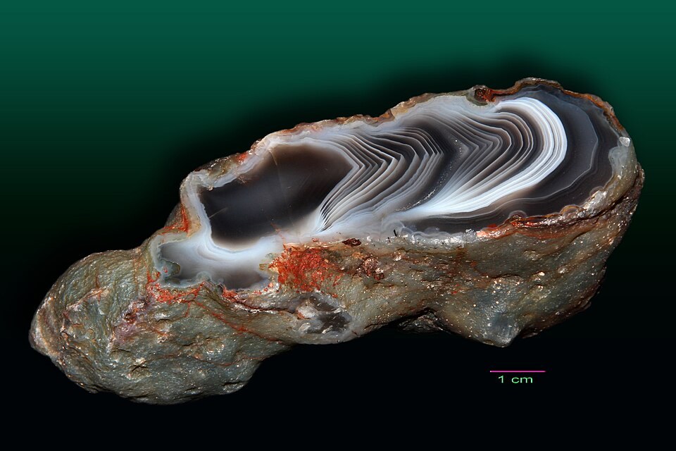 Botswana Agate real specimen reference photograph