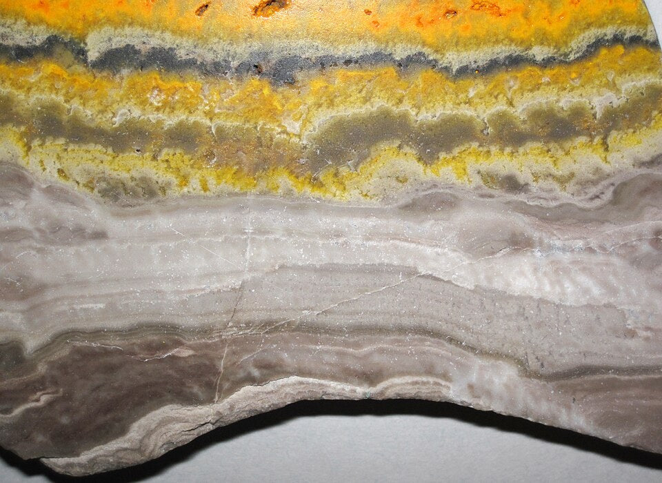 Bumblebee Jasper real specimen reference photograph