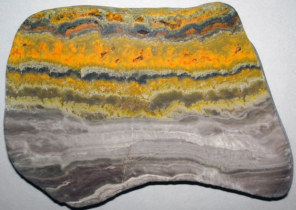 Bumblebee Jasper real specimen reference photograph
