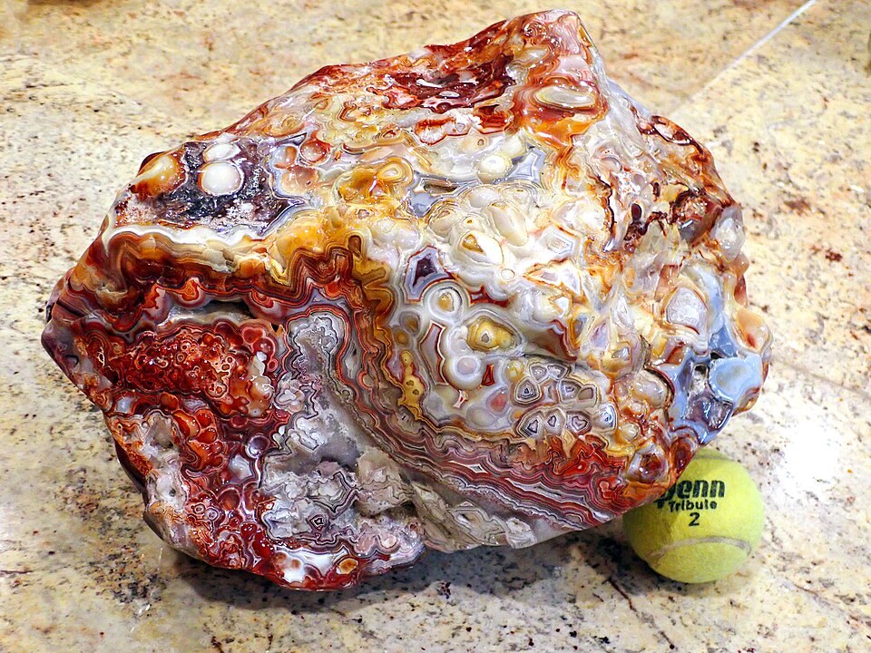 Crazy Lace Agate real specimen reference photograph