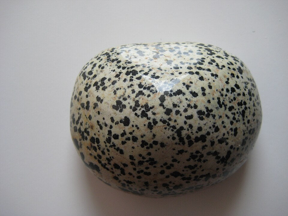 Dalmatian Stone real specimen reference photograph