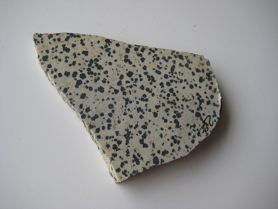 Dalmatian Stone real specimen reference photograph
