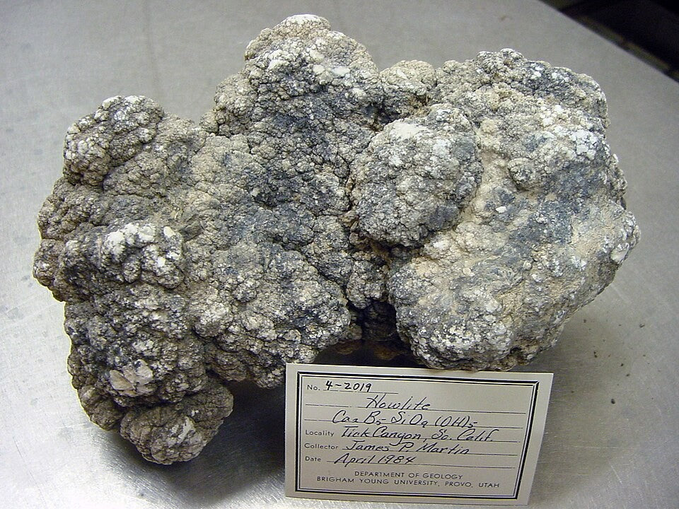 Howlite real specimen reference photograph