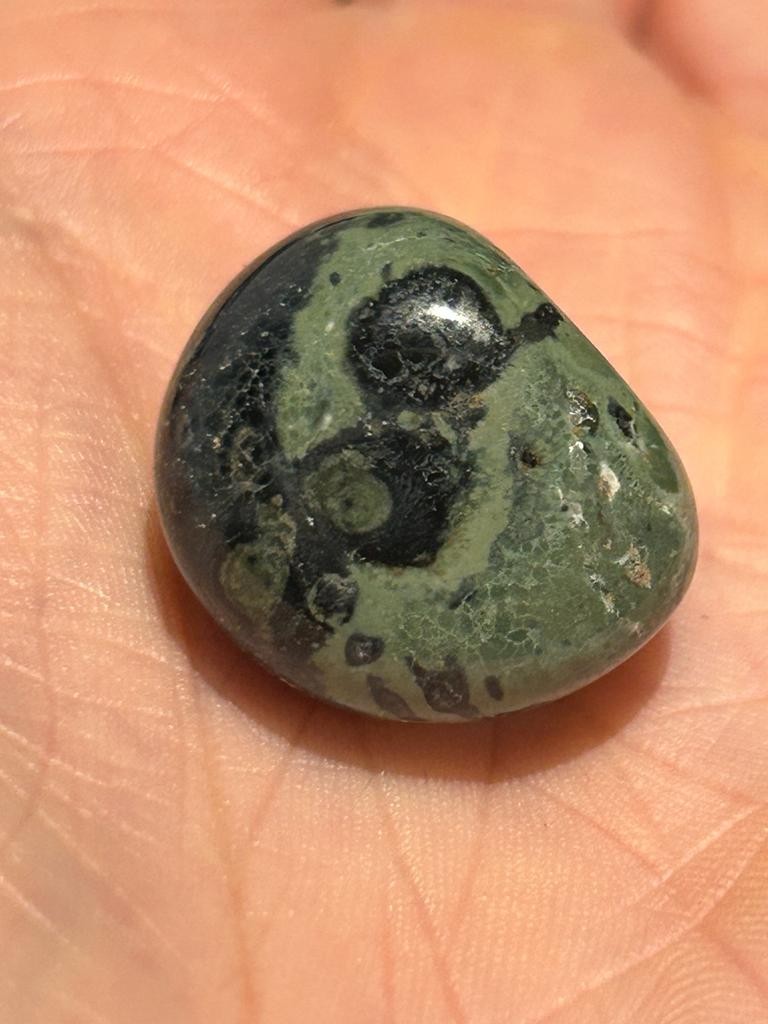 Kambaba Jasper real specimen reference photograph