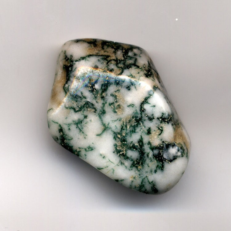 Moss Agate real specimen reference photograph