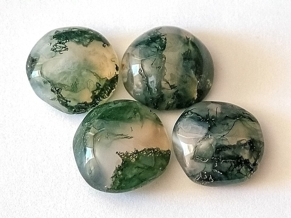 Moss Agate real specimen reference photograph