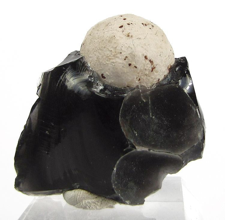 Obsidian real specimen reference photograph