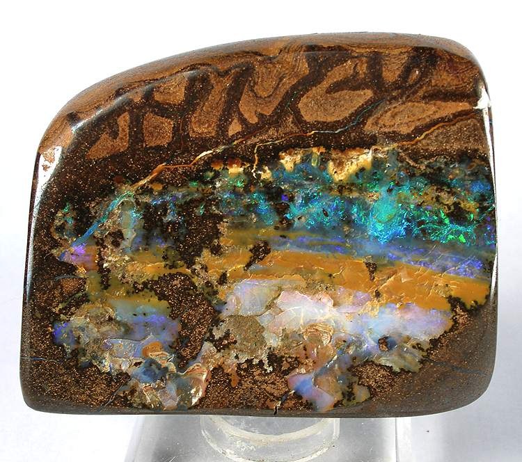 Opal real specimen reference photograph