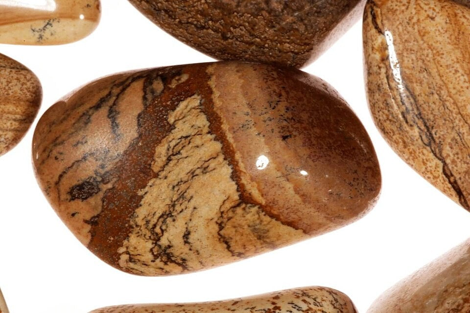 Picture Jasper real specimen reference photograph