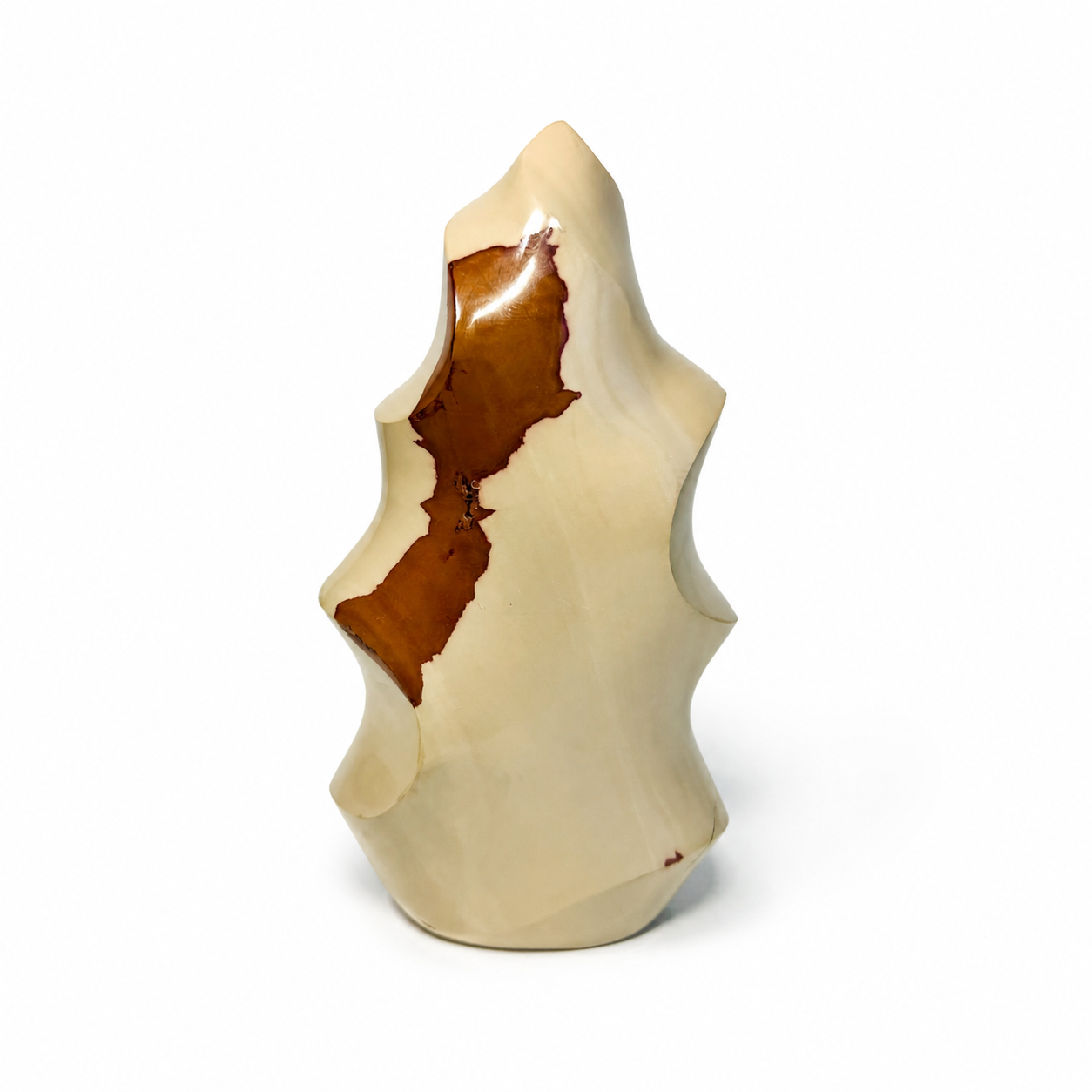 Polychrome Jasper real specimen reference photograph