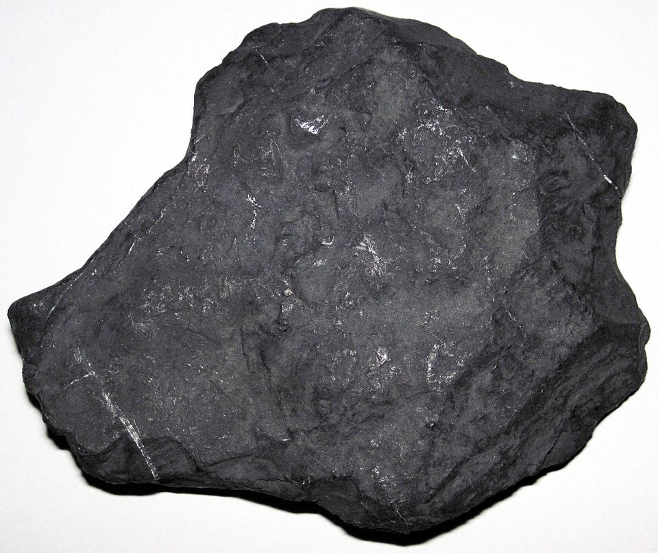 Shungite real specimen reference photograph