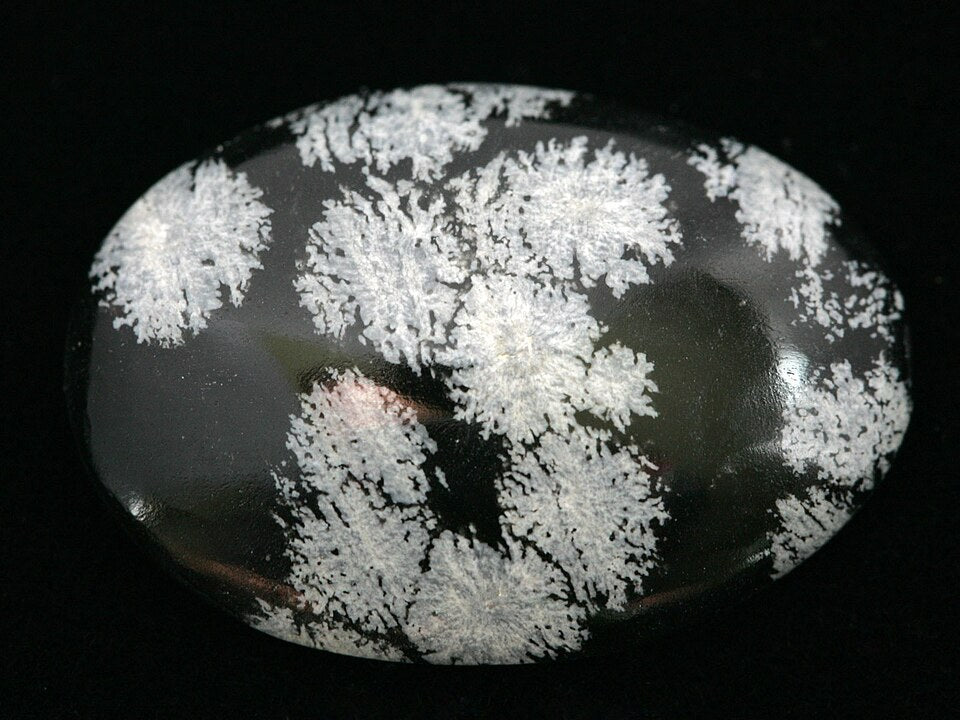 Snowflake Obsidian real specimen reference photograph