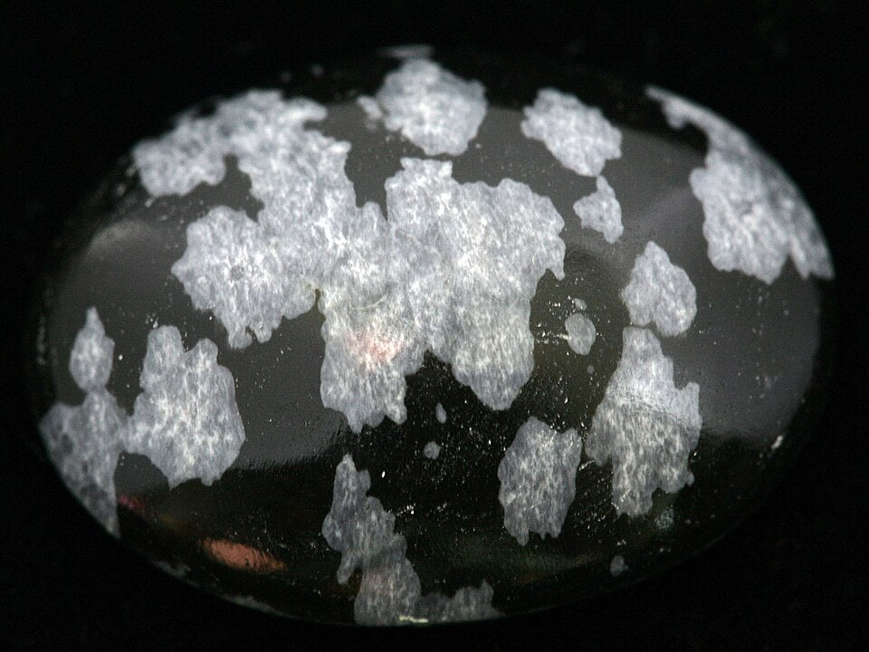 Snowflake Obsidian real specimen reference photograph