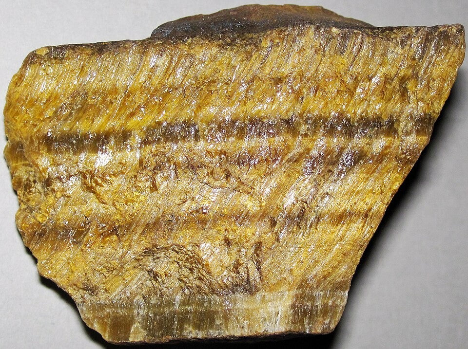 Tigers Eye real specimen reference photograph