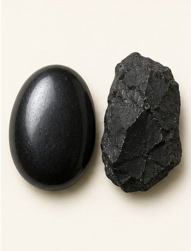 Shungite shown as a polished palm-stone or cabochon form beside a rough form in a generated educational comparison illustration