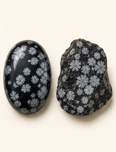 Snowflake Obsidian shown as a polished palm-stone or cabochon form beside a rough form in a generated educational comparison illustration