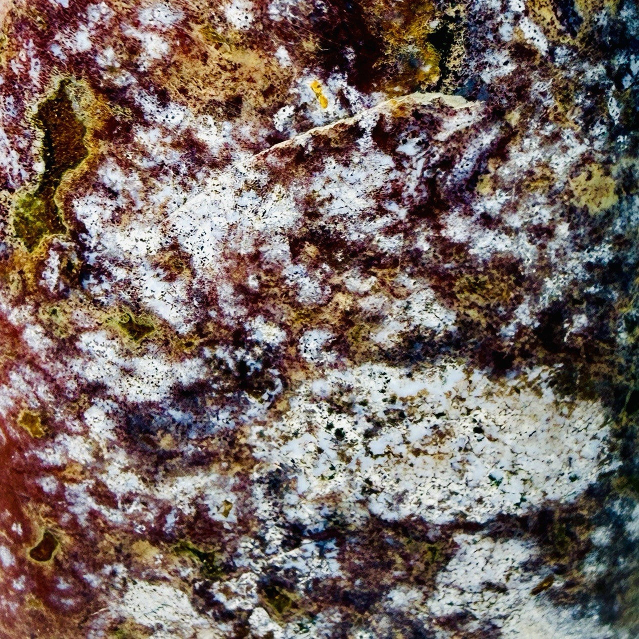 One-of-a-Kind Pink-Lavender Ocean Jasper Freeform — Orbicular 360 g Specimen — contenido multimedia del producto 3