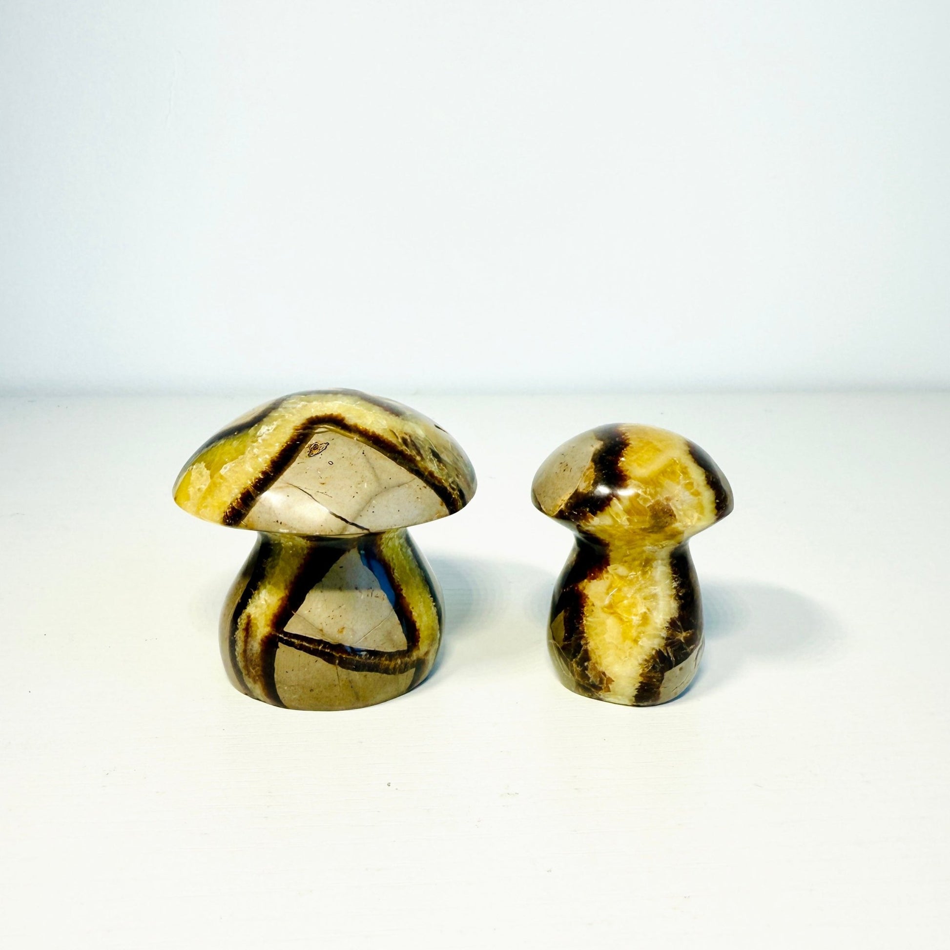 Handcrafted Septarian Dragon Stone Mushroom – Mini & Small Sizes - KREATEUR MIAMI
